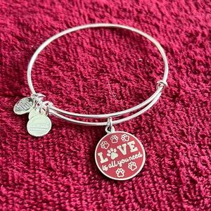 Alex and Ani “Love is all you need”
